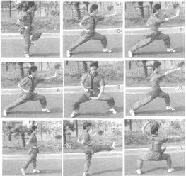 少林八步连环拳教学视频,一招一式,步步为营的武术精髓解析