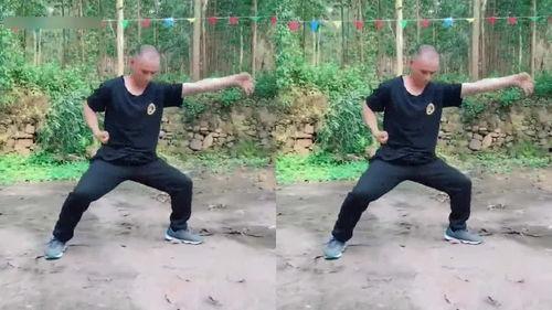 少林八步连环拳教学视频,一招一式,步步为营的武术精髓解析