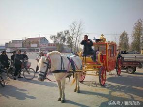 赶马车视频,赶马车视频中的激情与魅力